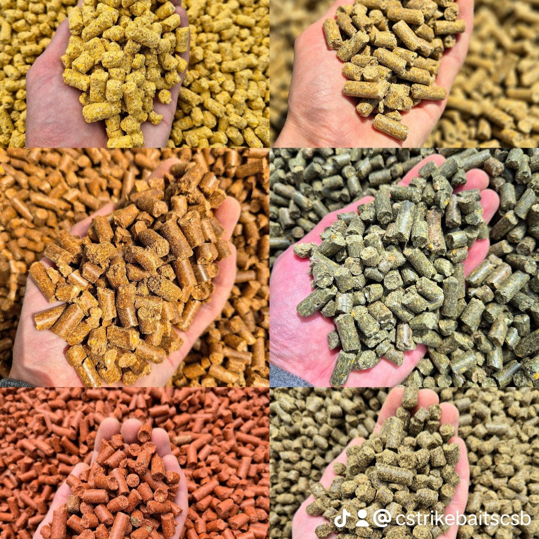 Pack Session Complète CSB — Bouillettes, Pellets & Premium