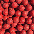 Amorçage – Sweet Strawberry