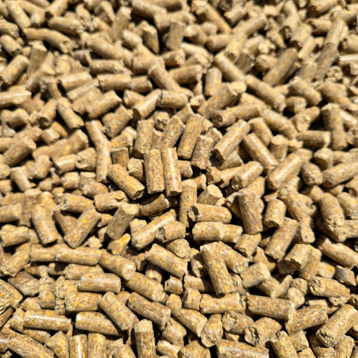 BabyCorn Fish 8mm