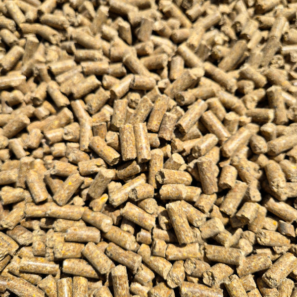 BabyCorn Fish 8mm