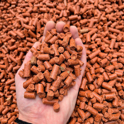 BabyCorn RobinRED 8mm