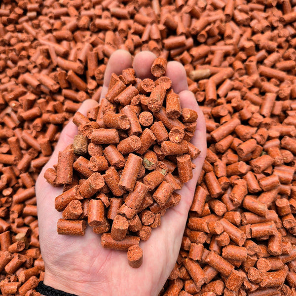 BabyCorn RobinRED 8mm