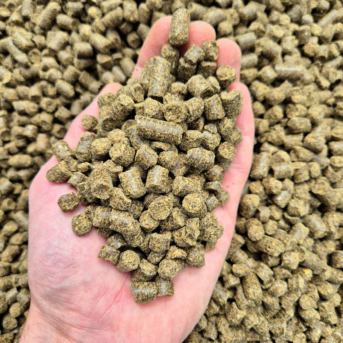Pellet Chanvre 8mm