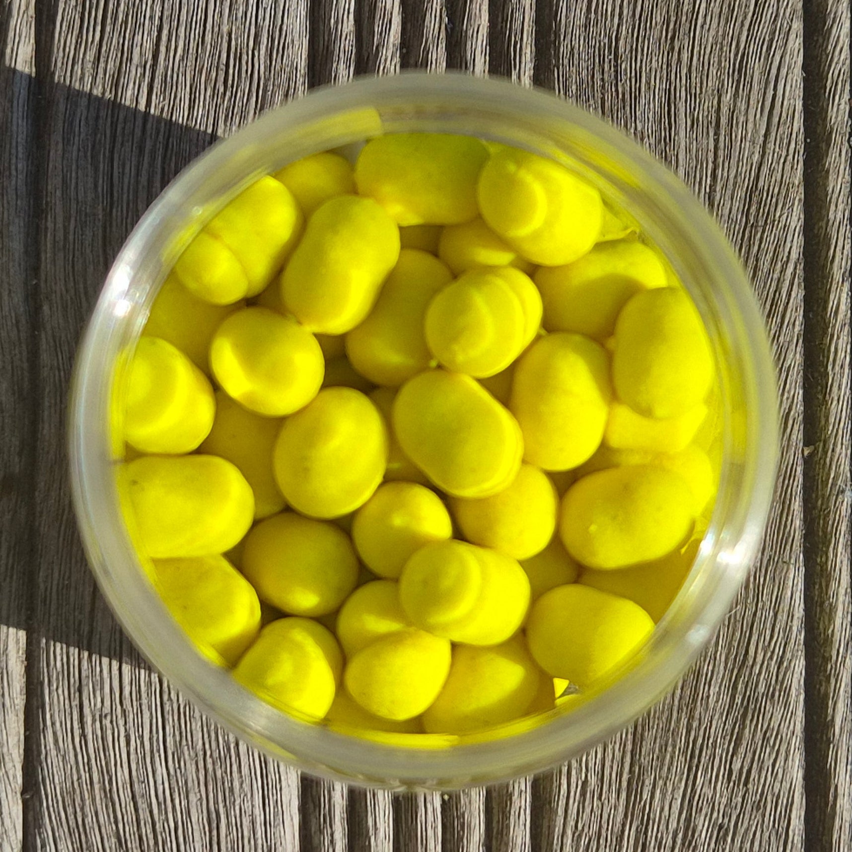 Wafters Dumbells assortis CSB – Gamme Essentielles