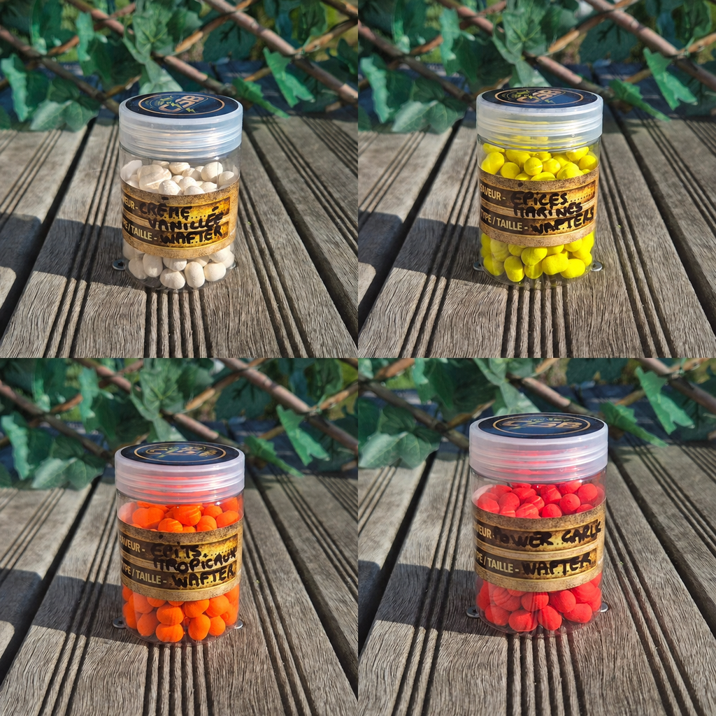 Wafters Dumbells assortis CSB – Gamme Essentielles