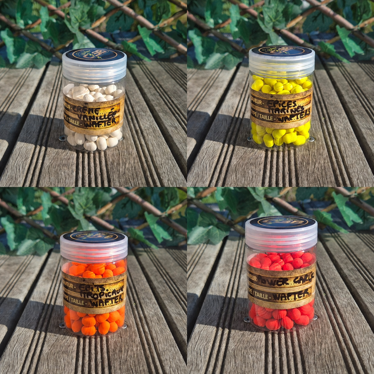 Wafters Dumbells assortis CSB – Gamme Essentielles