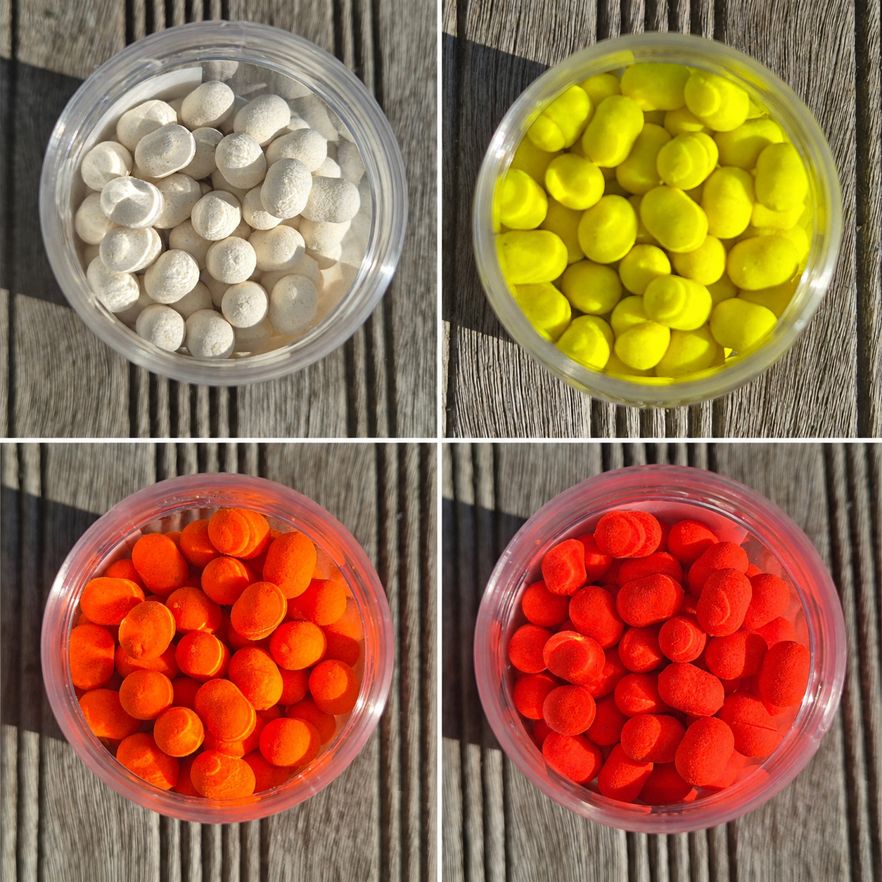 Wafters Dumbells assortis CSB – Gamme Essentielles
