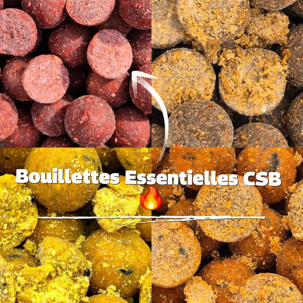🎣 CSB Session Pack – Full Strategy
