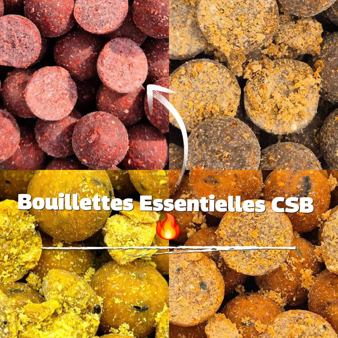 Pack Amorçage CSB – Zone Active