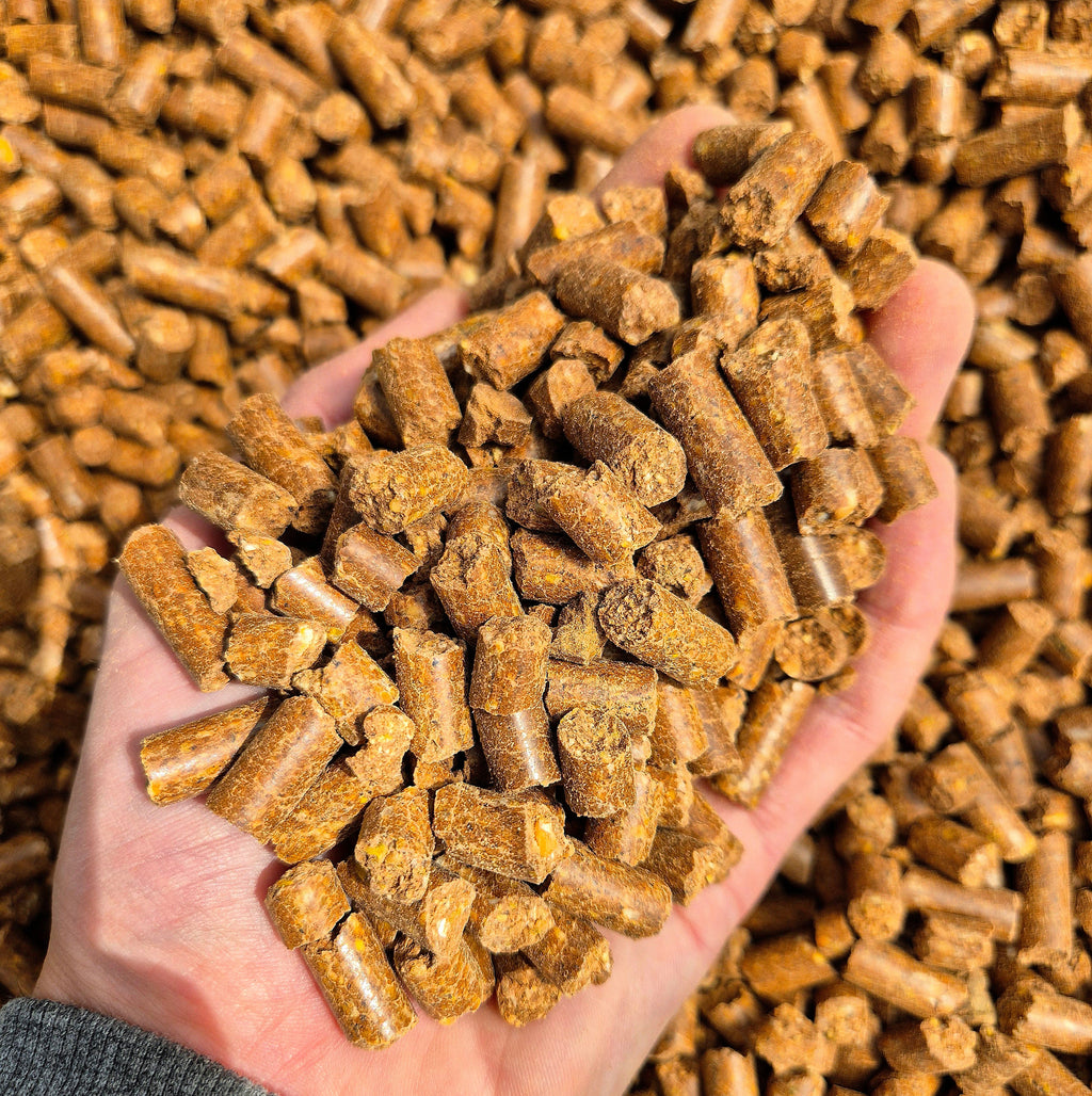 BabyCorn Krill 8mm