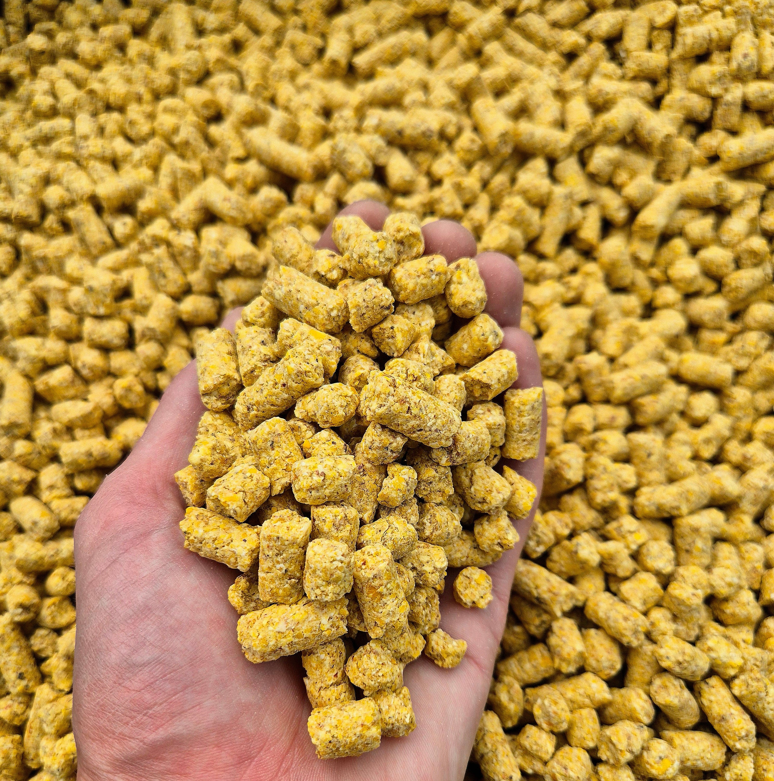 BabyCorn Original 8mm