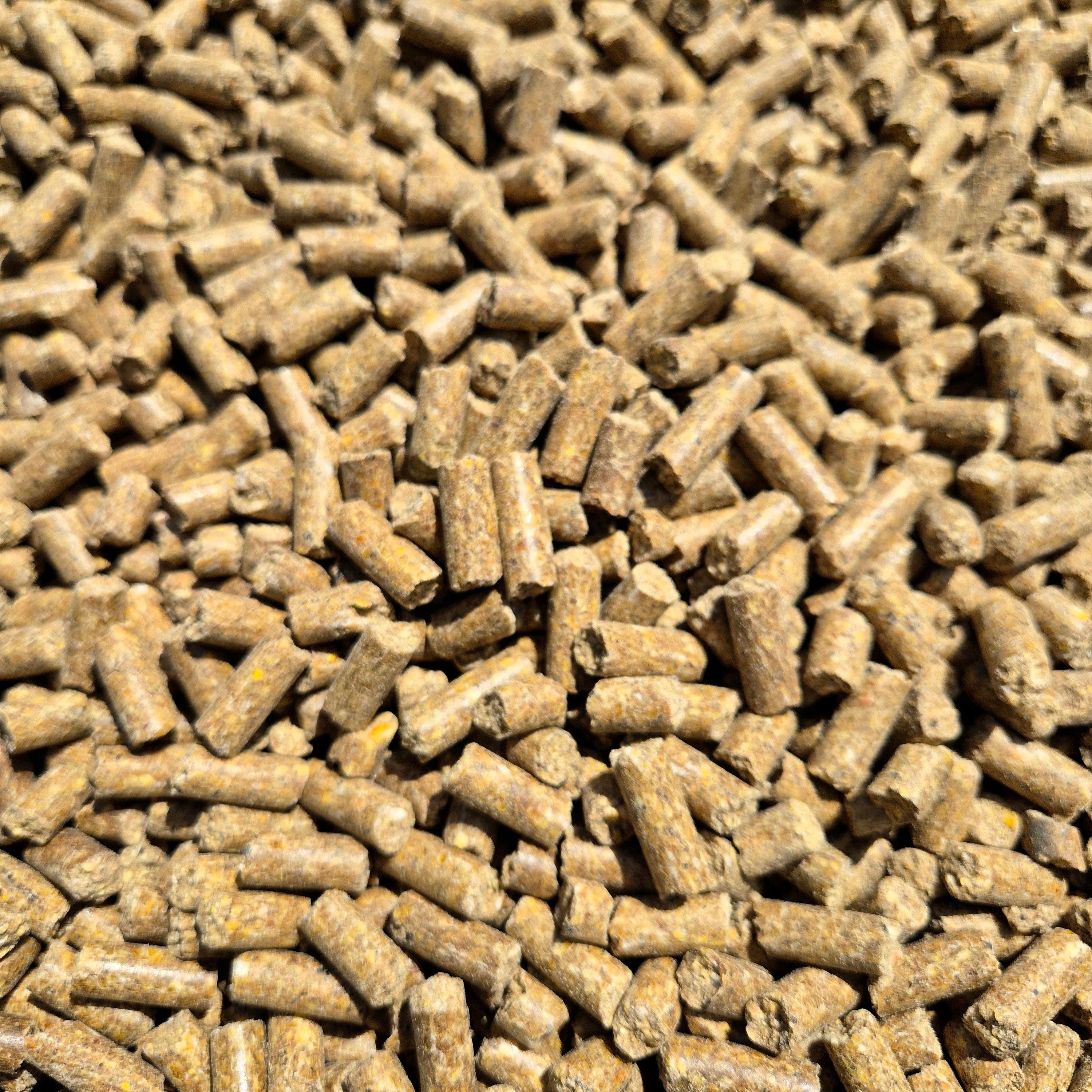 BabyCorn Fish 8mm